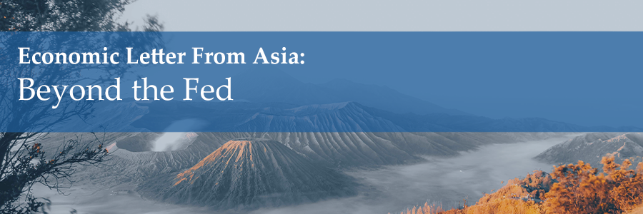 Read our latest Economic Letter from Asia 'Beyond the Fed': haverproducts.com/economic-lette…