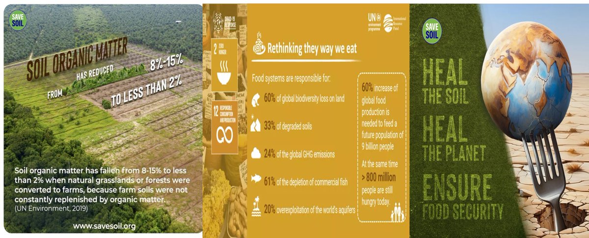 Rice paddy fields are known to emit significant amounts of CH4 owing to the anaerobic conditions prevalent during the times when the fields are inundated with potentially warm water-MoES India
Agrifood system needs a change.
#cpsavesoil #SaveSoilFixClimateChange