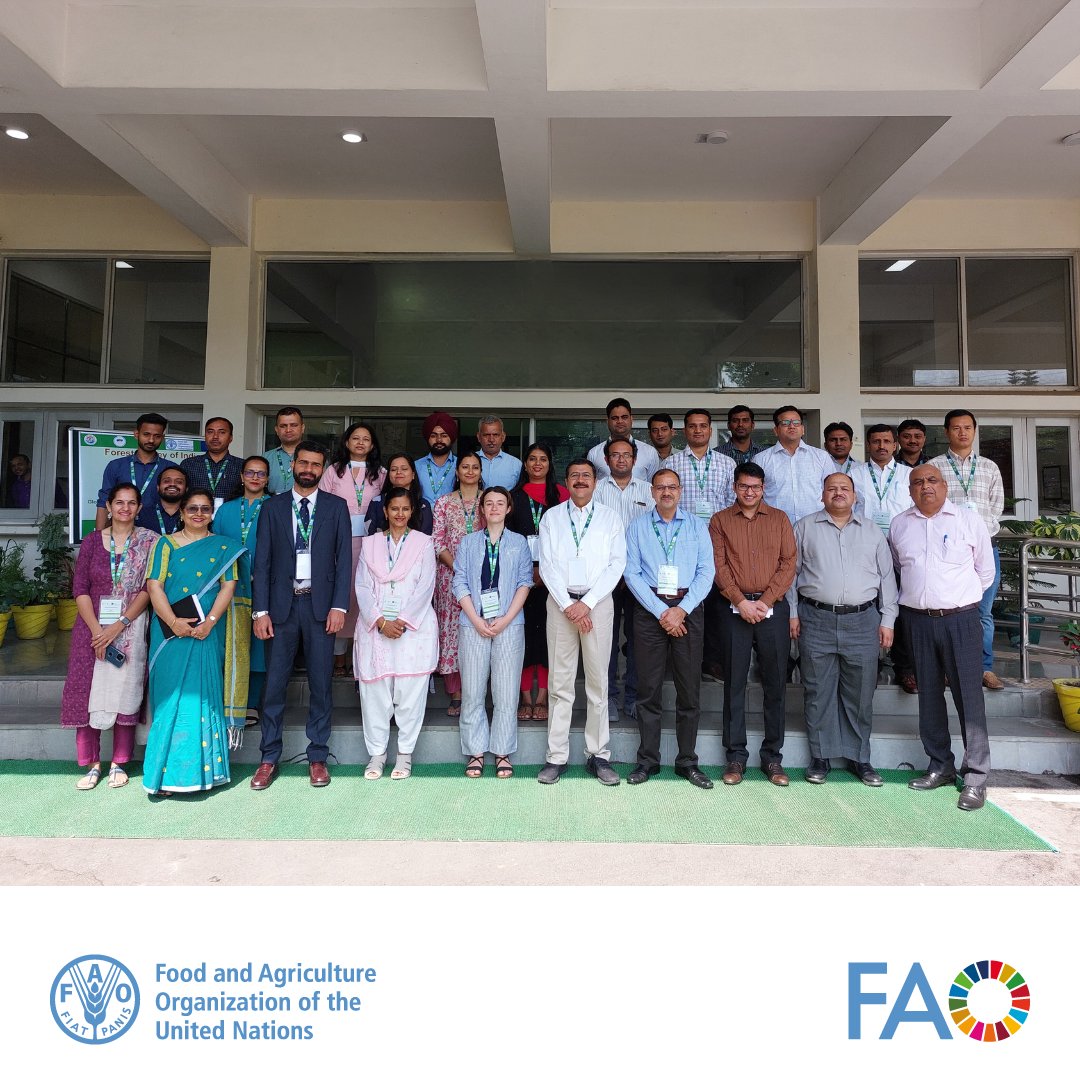 Supported by the European Union & Norway’s International Climate & Forest Initiative, @FAO & @ForestSurvey launch a 5-day national workshop to support data collection for the 2025 cycle of the Global Forest Resources Assessment Remote Sensing Survey in India.