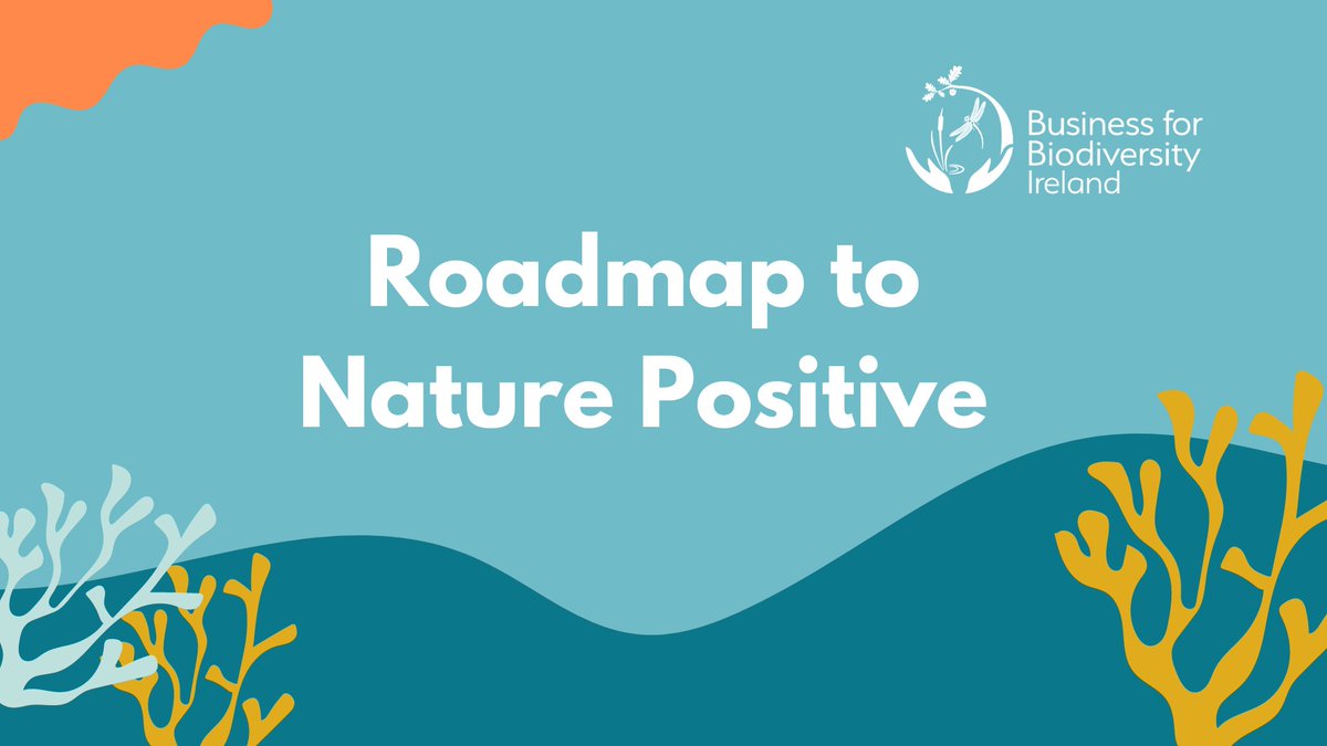 Need a #BiodiversityStrategy for your business? We'll host another Members Forum online on May 22 - join #BFBI to attend & discuss the Roadmap to #NaturePositive Already a member? Log in to the Members Area to add questions to the dashboard. #BizBioForum businessforbiodiversity.ie