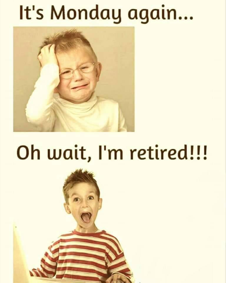 🇨🇦 Craig Searle ⚓️ tweet media