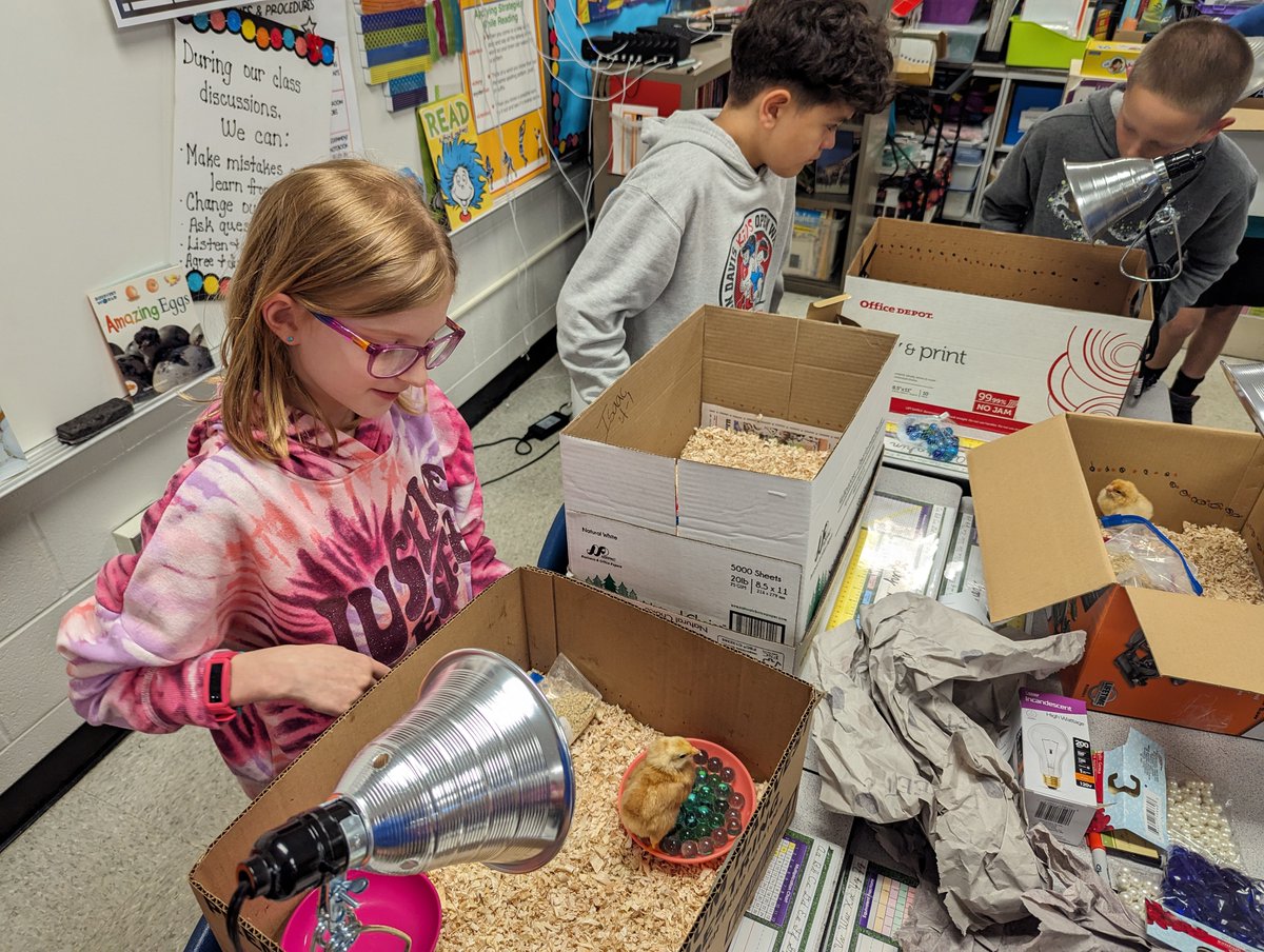 Our Embryology Club members got to take chicks home for the weekend to take care of them, what a great experience! #KellerProud #KirbyONE40 #EveryChildEveryDay