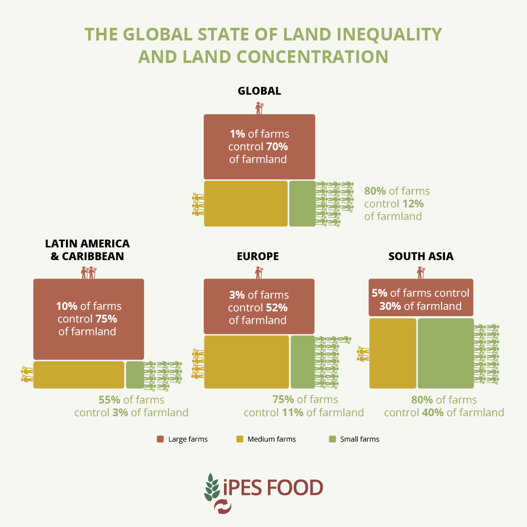 🚨Global land concentration: The world's farmland is owned by the few! 1% largest farms control 70% of farmland worldwide. In Latin America it's worse. Extreme land inequality obstructs sustainable #foodsystems. Data from our new #LandSqueeze report ➡️ipes-food.org/report/land-sq…