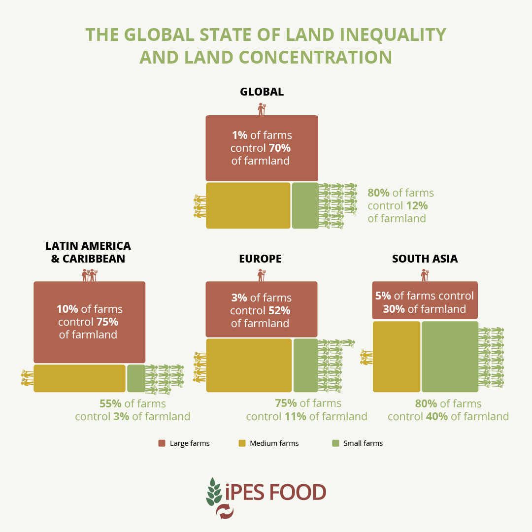 🚨Global land concentration: 

The world's farmland is owned by the few! 1% largest farms control 70% of farmland worldwide. In Latin America it's worse.

Extreme land inequality obstructs sustainable #foodsystems.

Data from our new #LandSqueeze report
➡️ipes-food.org/report/land-sq…