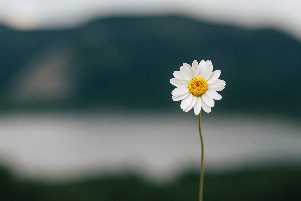 Let us remember the power of ONE today.
One kind word-
One inspiring comment-
One heartfelt compliment-
One look at the beauty of nature-
Any one of these can help make someone's day a little brighter.
☀️🌻🙏

#MondayThoughts #MondayMotivation #BeKind #GiftKindness