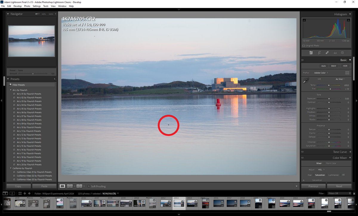 ap3489's tweet image. My claim on spotting the #Millport Otters on the @ConvexSeascape trip this April

@mattjarvismedia 105mm just not enough 🥲
