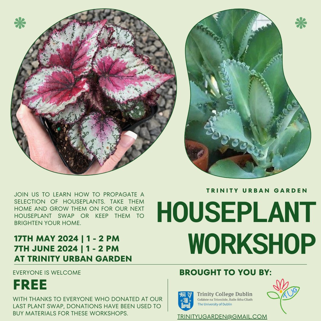 Coming into #BiodiversityWeek we have a few 🌿opportunities on campus. Learn hydroponics or how to propagate houseplants with the Trinity Urban Garden team of student and staff volunteers. #SustainableTrinity
