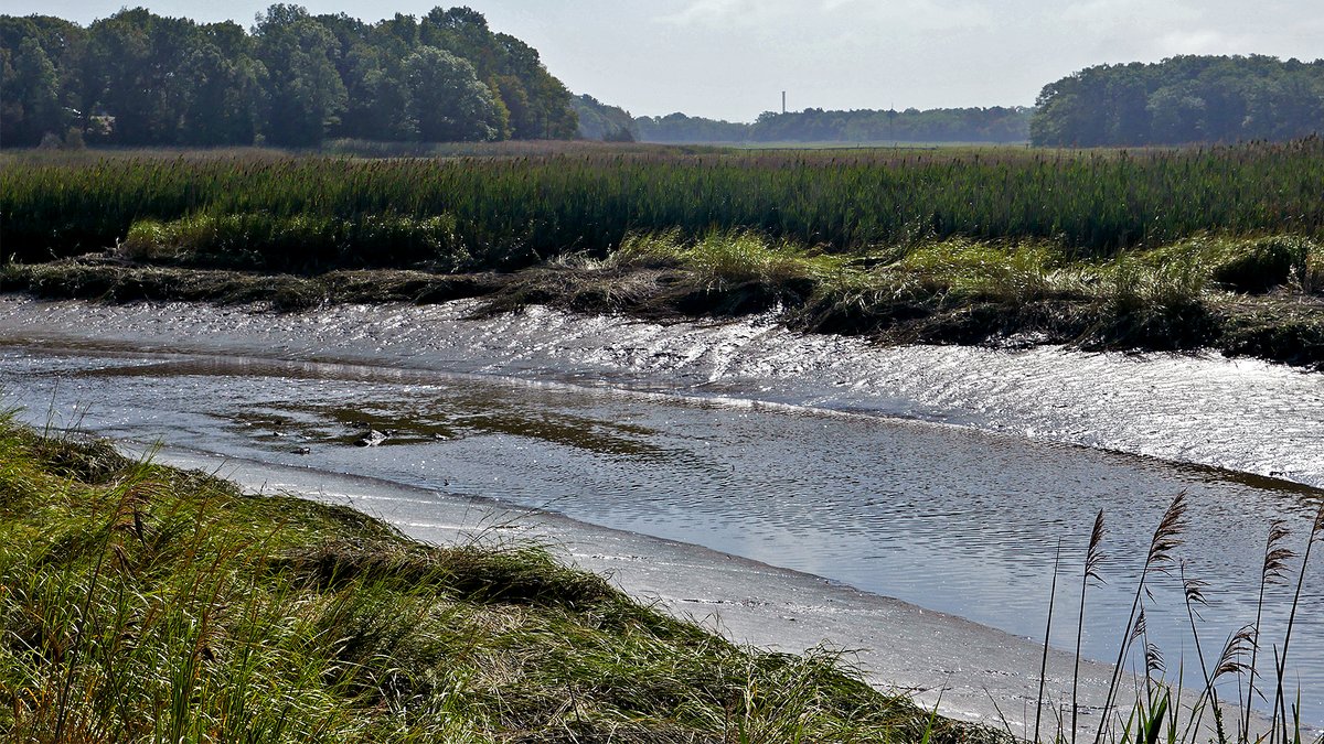 Laker TV tweet media