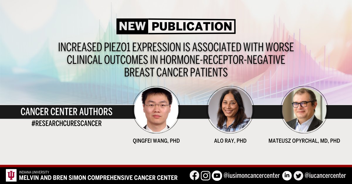 Gain valuable insights from a new article by the cancer center’s Qingfei Wang, PhD, Alo Ray, PhD, Mateusz Opyrchal (@opyrchallab), MD, PhD, and colleagues in @Cancers_MDPI. Learn more: ow.ly/Pglx50R7Bwn. #ResearchCuresCancer #NCIcomprehensive
