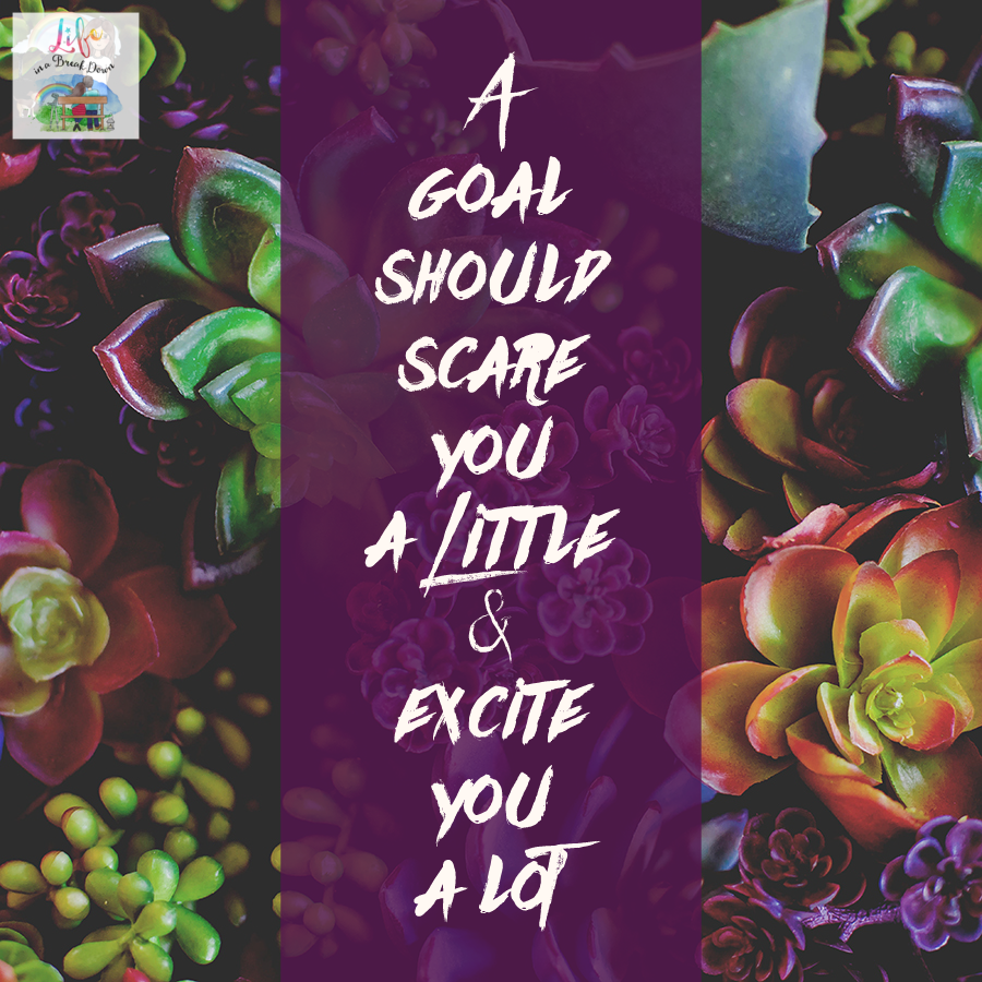 A goal should scare you a little and excite you a lot. #quote #quoteoftheday