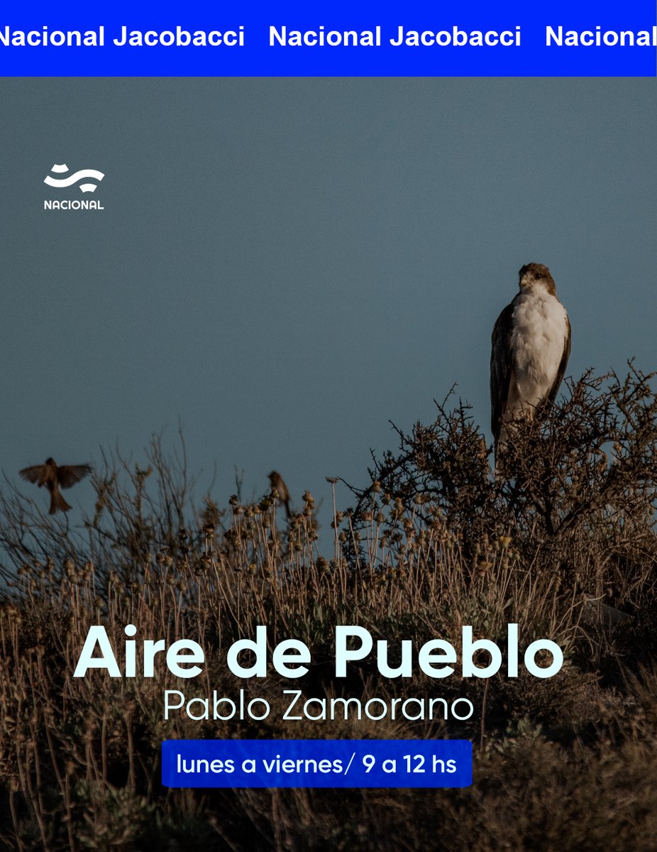 NacJacobacci's tweet image. ¡Bienvenidos/as! 🥰 Inicio de semana en Aire de Pueblo 
Acá en la #RadioPública ya pusimos la pava y nos preparamos para iniciar la jornada que viene con mucha info y linda música.

📷 Hoy el ñanco nos muestra su pecho blanco. 
Sumate : FM 93.5
radionacional.com.ar