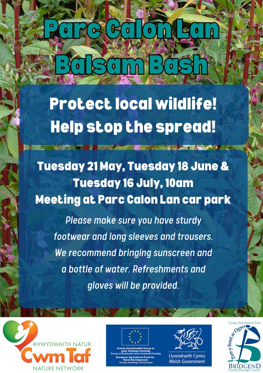Bridgend CB Council (@bridgendcbc) on Twitter photo Join the Green Volunteer Team for their ‘Balsam Bash’ events.
📍 Parc Calon Lân, Blaengarw
📅 Tuesday 21 May, Tuesday 18 June & Tuesday 16 July, 10am
Book your place 📧 greenvolunteer@bridgend.gov.uk Join the Green Volunteer Team for their ‘Balsam Bash’ events.
📍 Parc Calon Lân, Blaengarw
📅 Tuesday 21 May, Tuesday 18 June & Tuesday 16 July, 10am
Book your place 📧 greenvolunteer@bridgend.gov.uk