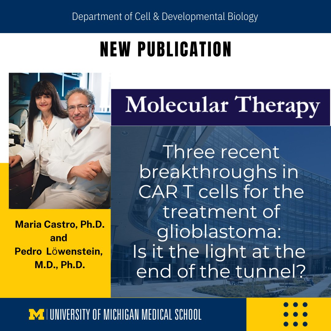 New Publication from the Castro (@castro2355_mg) - Lowenstein Labs! 'Three recent breakthroughs in CAR T cells for the treatment of glioblastoma: Is it the light at the end of the tunnel?' has been published in Molecular Therapy. michmed.org/qqngM lowenstein-castrolab.com