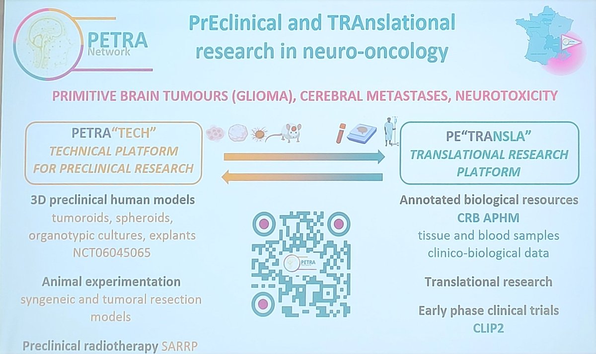 The first #GopaPETRA seminar has been launched! Emeline Tabouret presented the Gopa network and Aurélie Tchoghandjian presented the PETRA network. What a pleasure to be part of the meeting between these two networks!