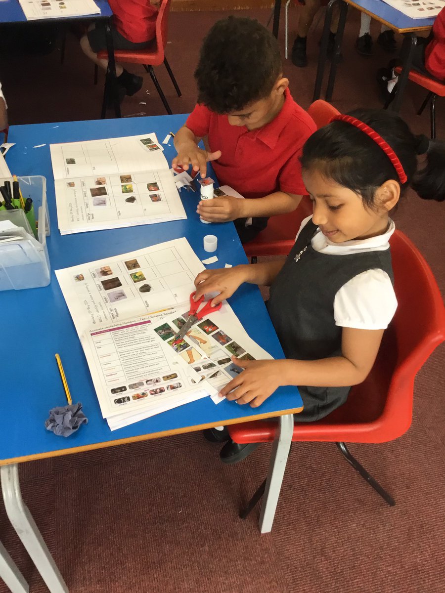 Year 1 have been learning how to name different animals in Science. They will be learning so many new facts in their new topic, Animals including humans. 🐶🐷