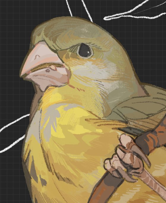 「beak」 illustration images(Latest｜RT&Fav:50)