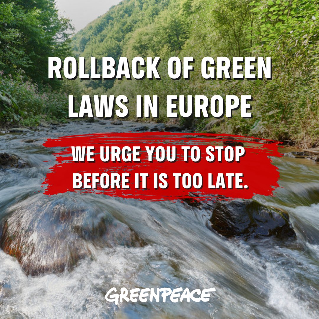 🚨”We urge you to stop before it is too late.”🚨 Together with @friends_earth, @Oxfam, @Global_Witness, @WWF and over 140 other organisations, we're issuing a joint statement warning of the consequences of the current attack on EU environmental rules. READ MORE 👇🧵