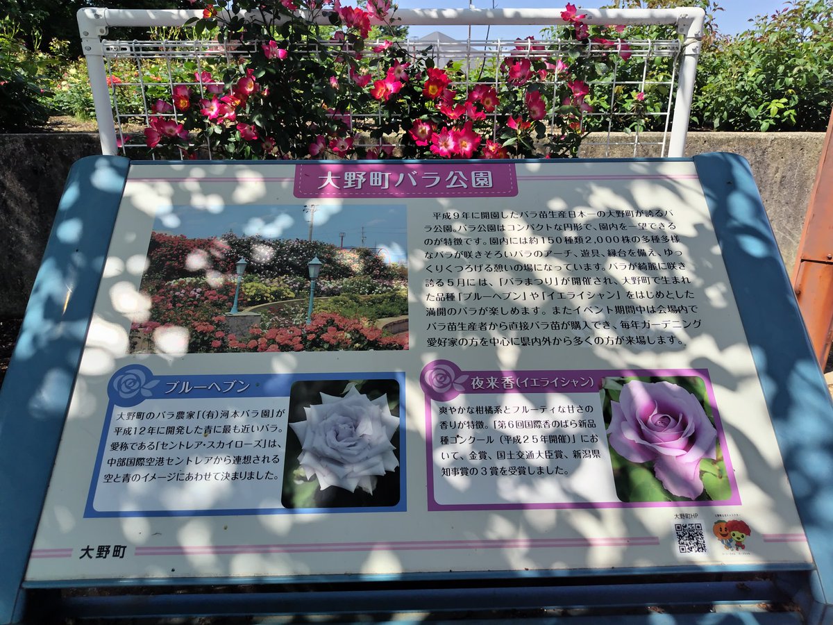 愛知県一宮から車で1時間弱ほど走ると岐阜県の大野町というところに大野町バラ公園があります。今はバラの時期で綺麗なバラがたくさん咲いていて鮮やかです☺花好きな方は特に楽しめると思います🌹
＃大野町バラ公園