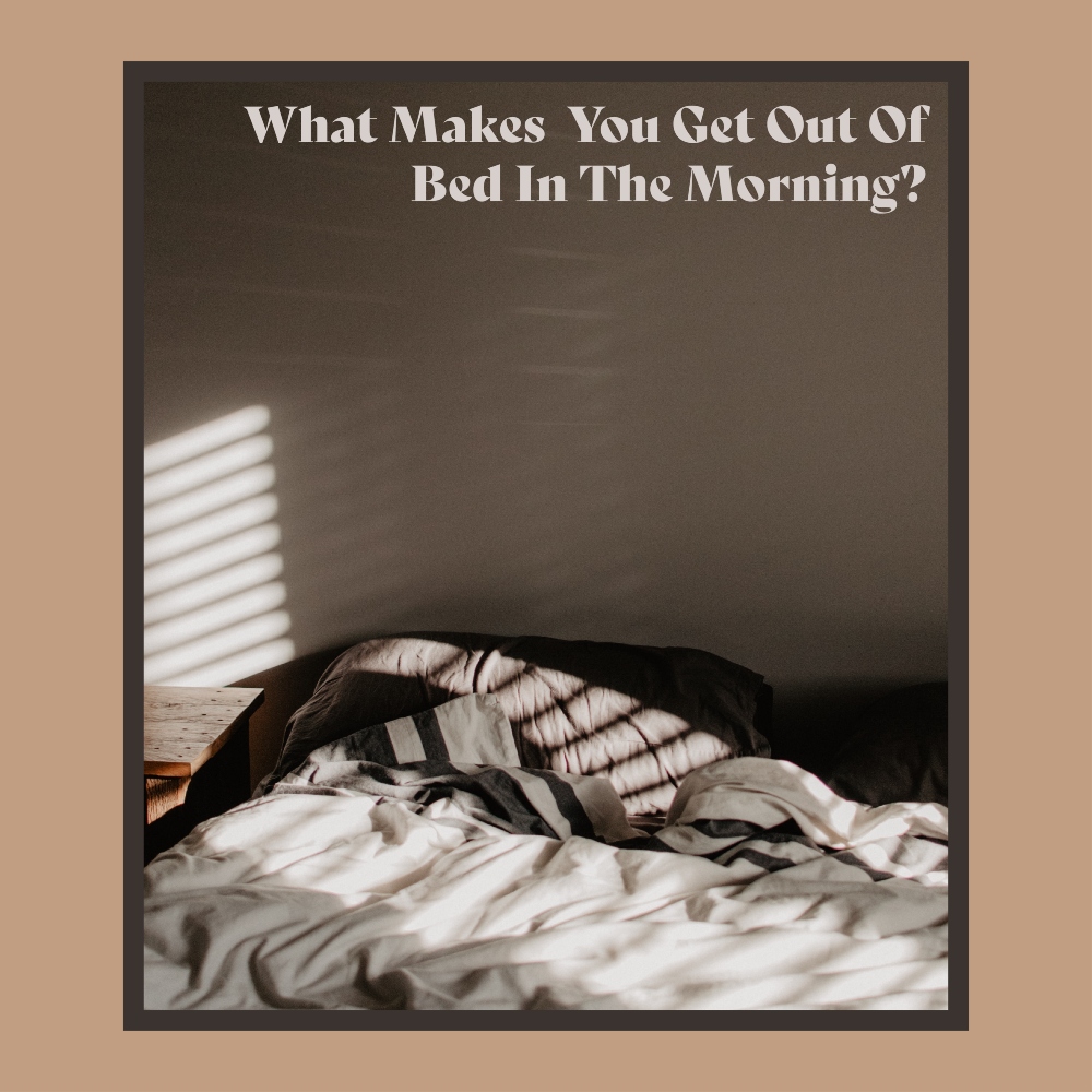 Everyone has a 'why' that gets them going at the beginning and end of each day. What's yours?
Presented by Rachel Taylor,
please call 941-324-1708 for all inquiries and showing requests.
#sellingtampa #sellingparadise #realtor #realestate #floridarealtor #listingagent