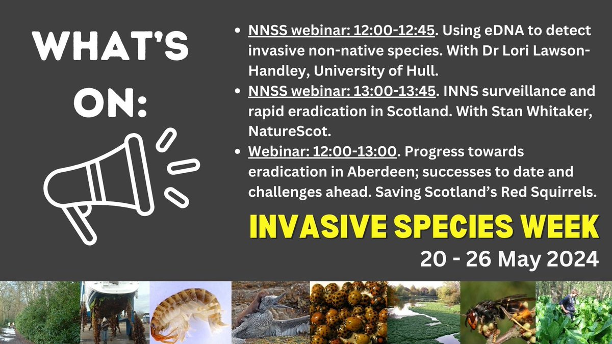 Today’s theme is “How are they spread?” Events taking place today for #INNSWeek 👇 Take a look at the ‘What’s On’ section of our website to register to join 👉 invasivespeciesni.co.uk/invasive-speci…