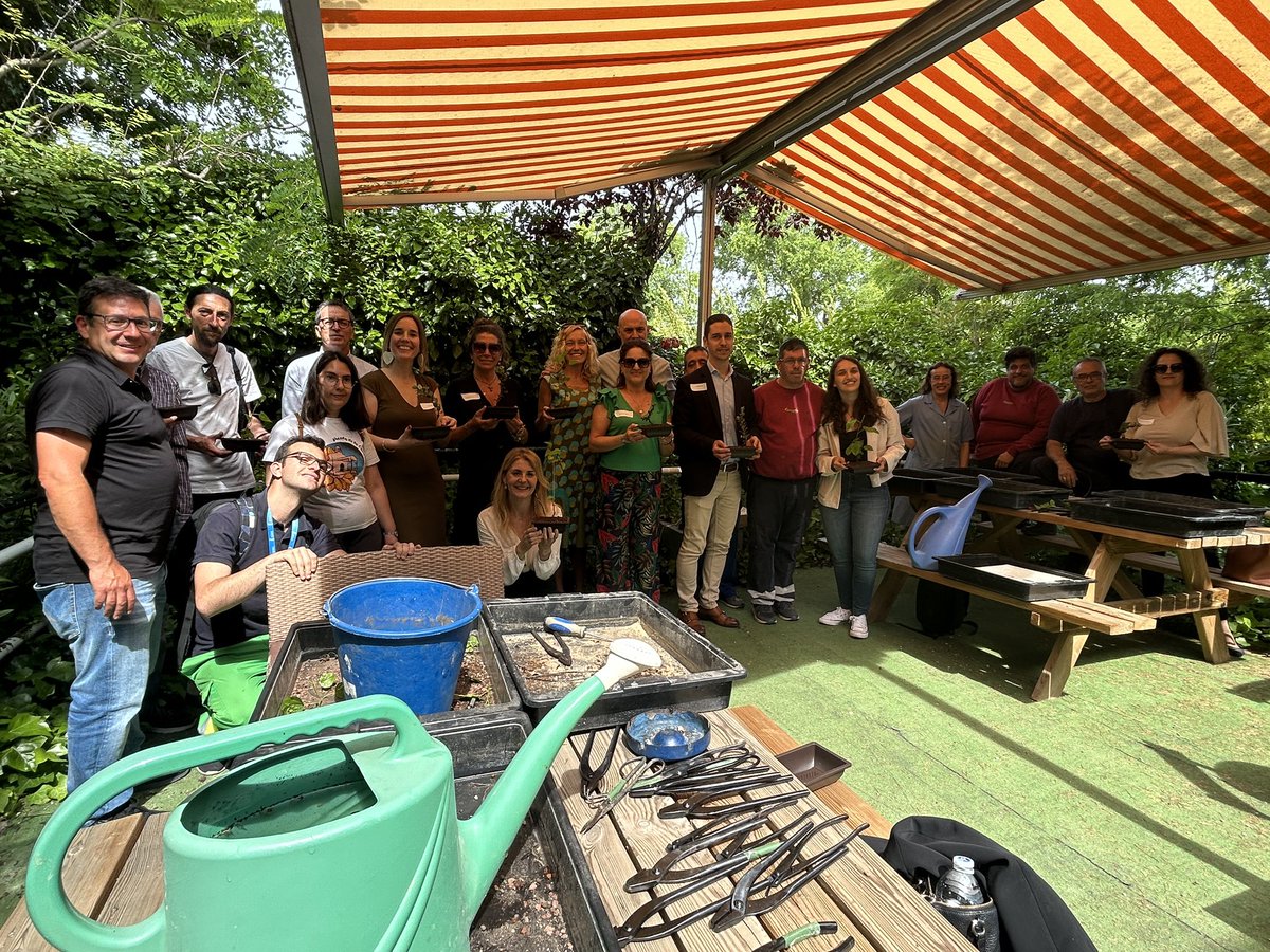 GrupoAMAS's tweet photo. LEGANÉS | Éxito de participación en la visita al bonsái do del COFOIL #Sufragio organizada en la Semana de la Discapacidad de @AytoLeganes 

Cada participante ha elaborado su propio bonsái y ha aprendido cómo cuidarlo ❤️ https://t.co/334UZiTRss