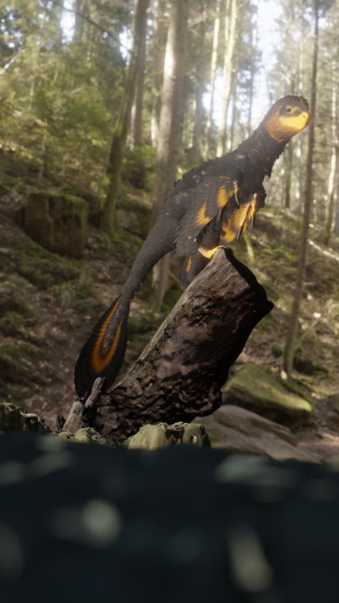 Xyphias_'s tweet photo. Hey! I'm doing 3D models of prehistoric animals, fakemons, drawings and Ark mods https://t.co/h4H3eRrCjv
