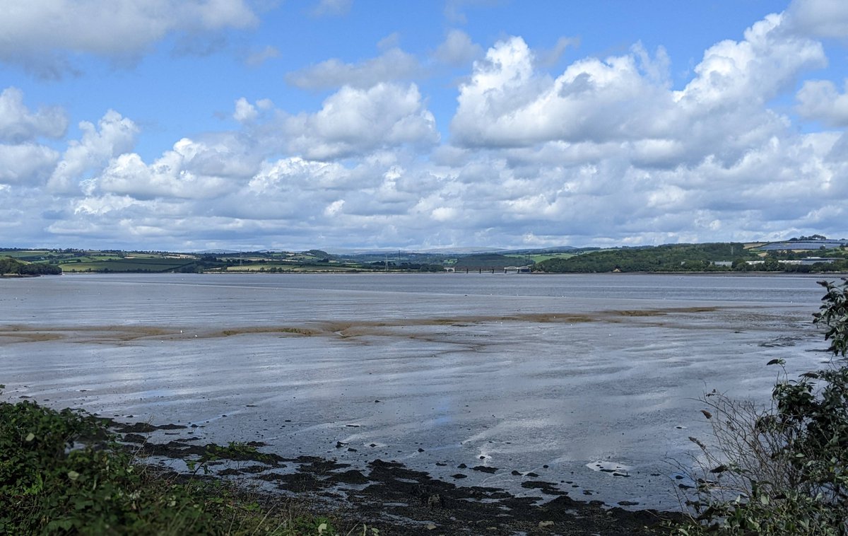 Toxic heavy metals, arsenic & carcinogenic PAHs enter rivers in road runoff & flow downriver, accumulating in estuaries, harming invertebrates, shellfish, eels, fish, birds, mammals that make up a rich estuarine ecosystem. Report by Stormwater Shepherds👇🏽 stormwatershepherds.org.uk/2024/05/08/bol…