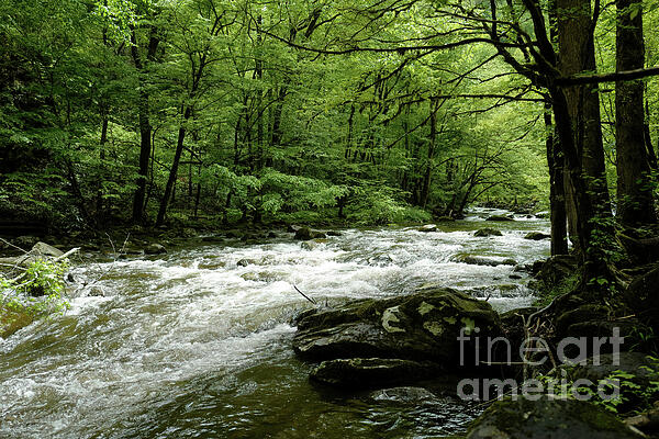 New artwork for sale! - 'Little River At Tremont, Great Smoky Mountains' - fineartamerica.com/featured/littl… #photography #naturephotography #river #park #greatsmoky