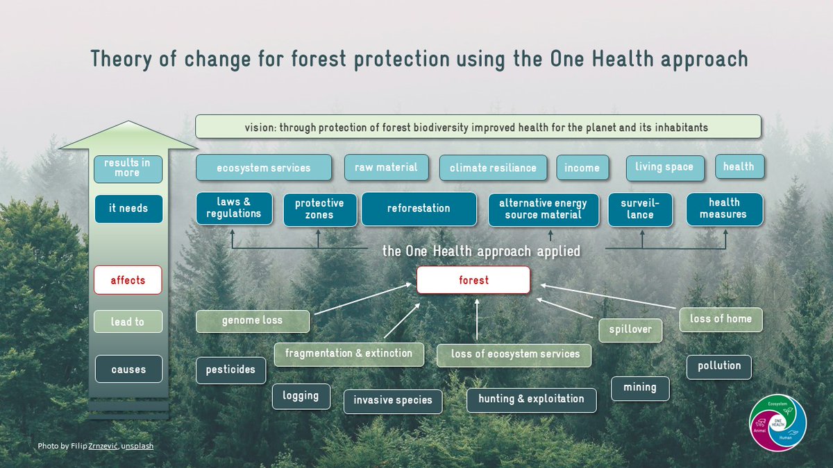 Only 31% of the world's land area is covered by forest. Yet forest ecosystems provide important and diverse services to human society and animals. Here is a theory of change to improve forest protection & management with a #OneHealth approach.