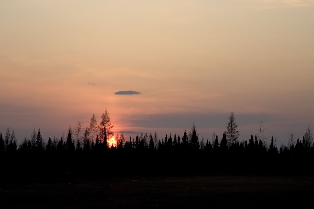 Sunset over the trees in Moosonee, Ontario. 2007 May 13.