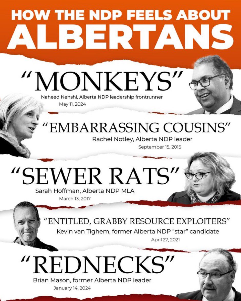 On June 22 the NDP will choose a new leader. Candidate Gil McGowan has served up the ‘non-vocal’ middle finger to citizens…not good. Front runners Nenshi and Hoffman, with their superior attitudes, are jockeying to replace Notley who is less than classy herself. 😏 #NoNDP