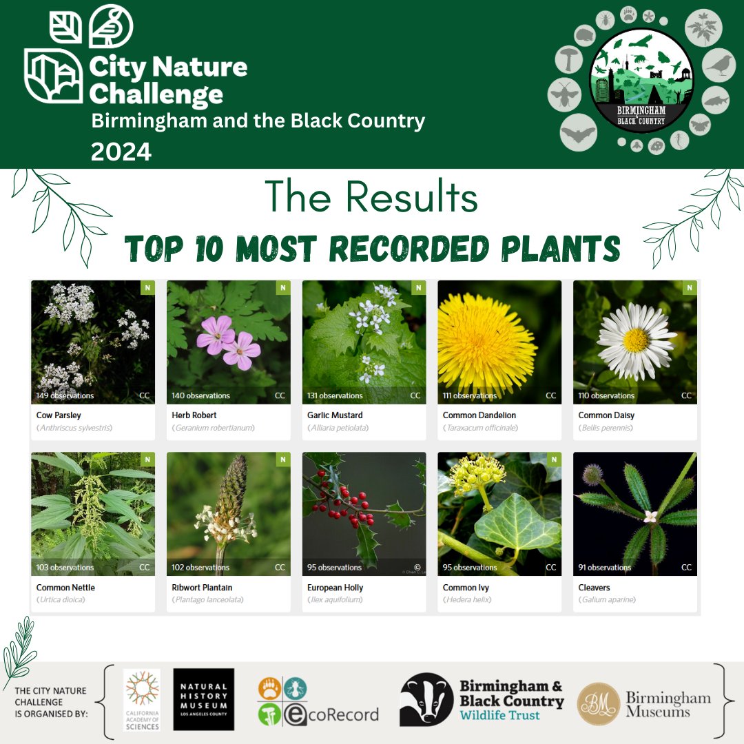 Check out the top birds, insects and plants recorded during the #citynaturechallenge in Birmingham and the Black Country! Thanks to all who took part and we look forward to next year 😎#wildlife #nature #citizenscience