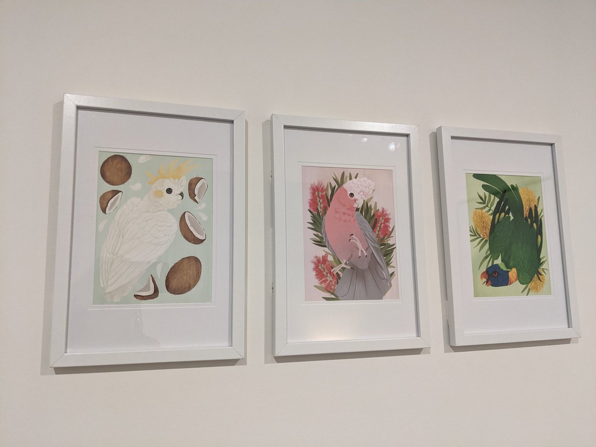 pd ➡️ pendraggon.art (@pd_draws) on Twitter photo .<a href="/M33KOR/">meekor 🔜 OZCC Brisbane AA</a> I am a fan of Aussie birds and bought prints of some from you at FurDU. I really love how they look on my wall -- thank you for my first bit of wall art 😊 .<a href="/M33KOR/">meekor 🔜 OZCC Brisbane AA</a> I am a fan of Aussie birds and bought prints of some from you at FurDU. I really love how they look on my wall -- thank you for my first bit of wall art 😊
