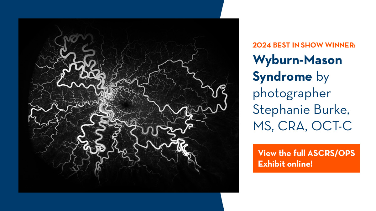 The Ophthalmic Photographers' Society & ASCRS winning photos from #ASCRS2024 are on display in this virtual exhibit. Check it out bit.ly/3w694wz