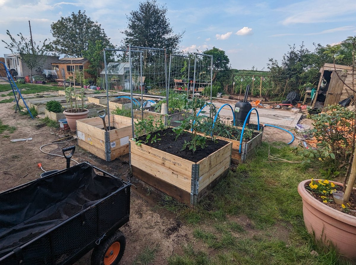 RogueCode's tweet image. Here is your annual reminder that if you don't want to spend lots of money on raised beds, get pallet collars off FB Marketplace (etc) for ~£8 each. They're strong, stackable, flatten, and cheap.