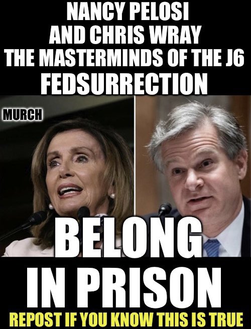 Two of the biggest liars this country has ever witnessed. Pelosi just so happened to have her daughter there who was capturing everything unfolding live? Mk…. Wray won’t even answer Congress’ questions of how many Feds were there. Who believes they both staged that day?🙋‍♂️