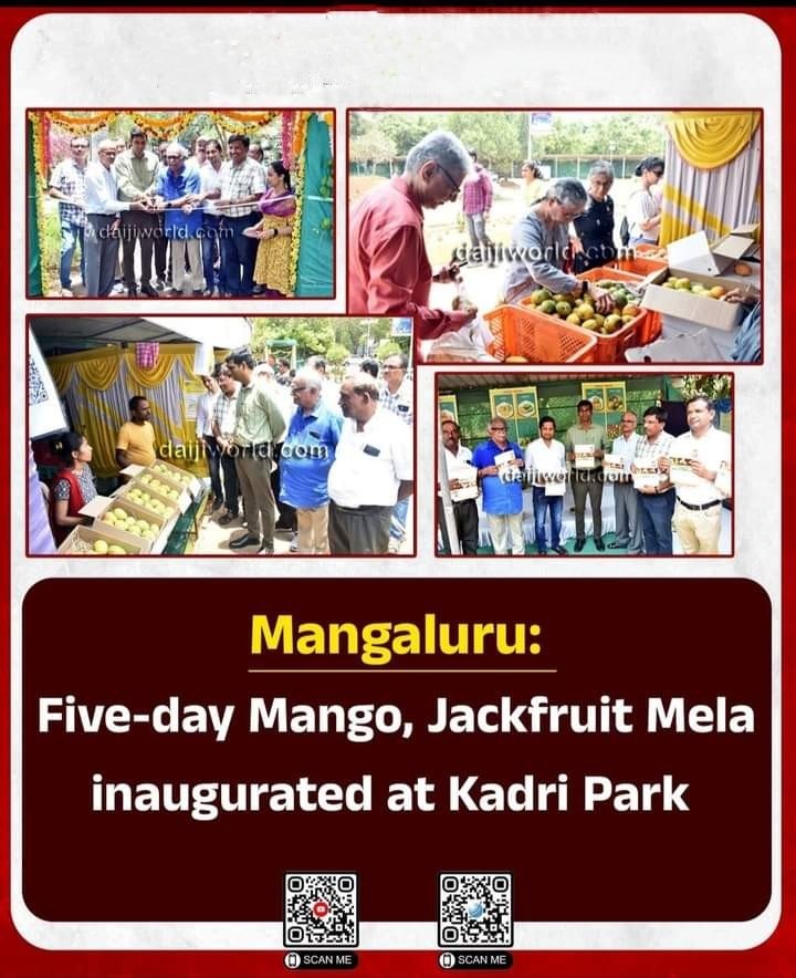 "Sweet Success! 🍊🎉 thanks <a href="/utkhader/">UT Khader</a> sir

We're thrilled to share that our 5-day "Mango and Jackfruit Mela" 2024 at Kadri Park, Mangalore was a huge hit! 🌳

📈 Our mangoes stole the show, with a whopping 4-4.5 tonnes sold during the event! 🤯
 #Mango #Mangalore #alphoso