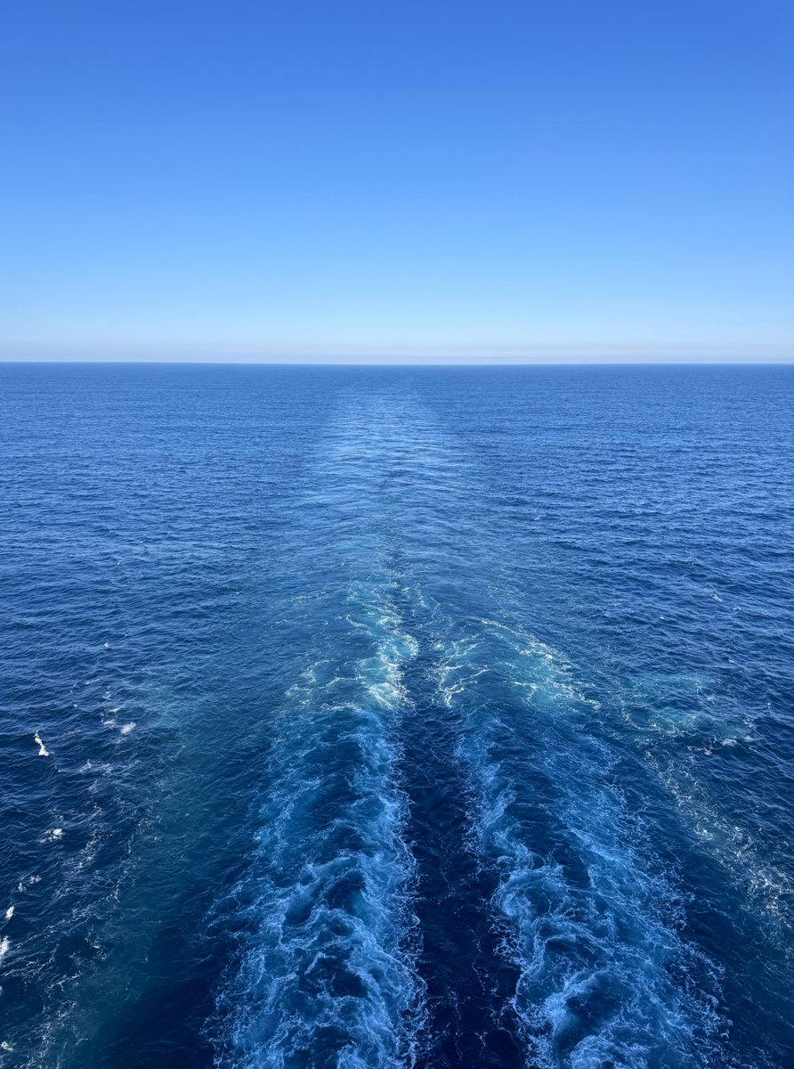 Good morning, friends! 😄 It’s a sea day today aboard #MSCMeraviglia. Slowly making our way to Boston! 🛳️💛 #travel #fun #seaday #bloodymary #yum #msccruises @MSCCruisesUSA