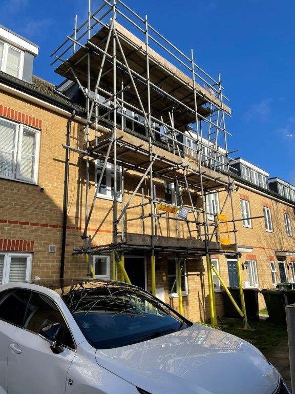 MillenniumScaffold tweet media