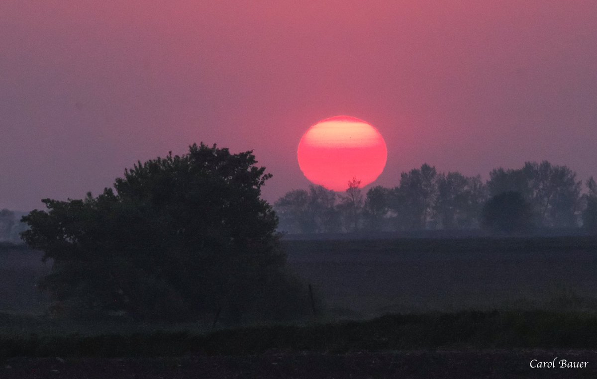 WOW! Smoke from Canadian wildfires creating a hazy sunset last night in Graceville, Minnesota. Photo courtesy of @carolbauer320 #Wildfires #MNwx