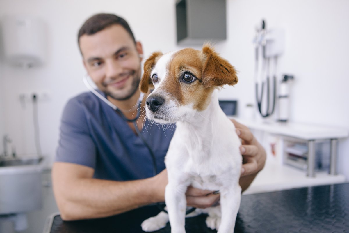 Essity's Animal Health team are holding a FREE Advanced Wound Care Workshop for veterinary professionals in Dunstable on Wednesday 15th May. For further information visit: bit.ly/4axsQ2w To register email animalhealthcare@essity.com #essity #animalhealth #vetcare