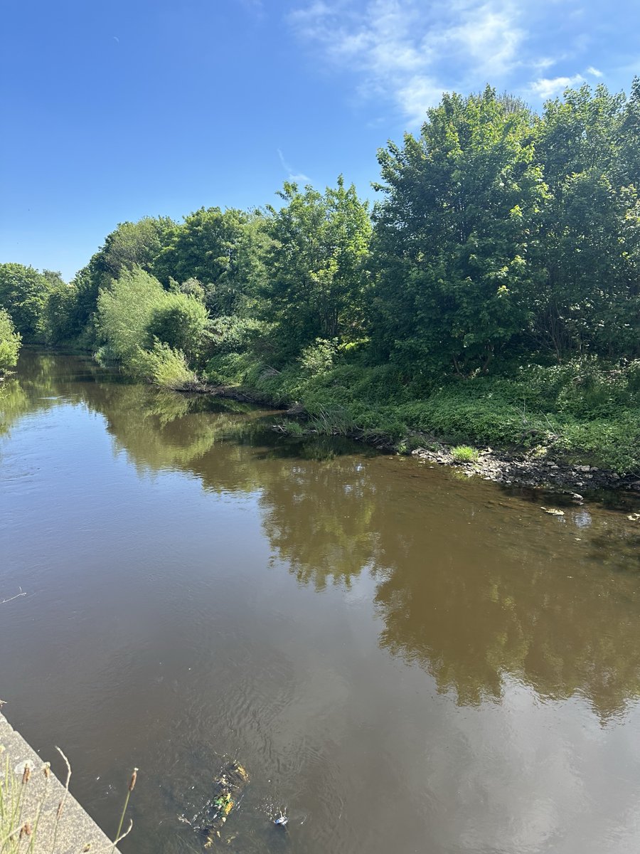 River Stewardship Co tweet media