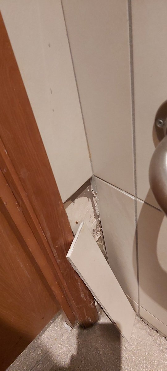 MervynWilliams's tweet photo. @premierinn  the beefeater three fish at @newport @shropshire the toilets need upgrading, and checking on a regular basis. https://t.co/Htug0JqItu