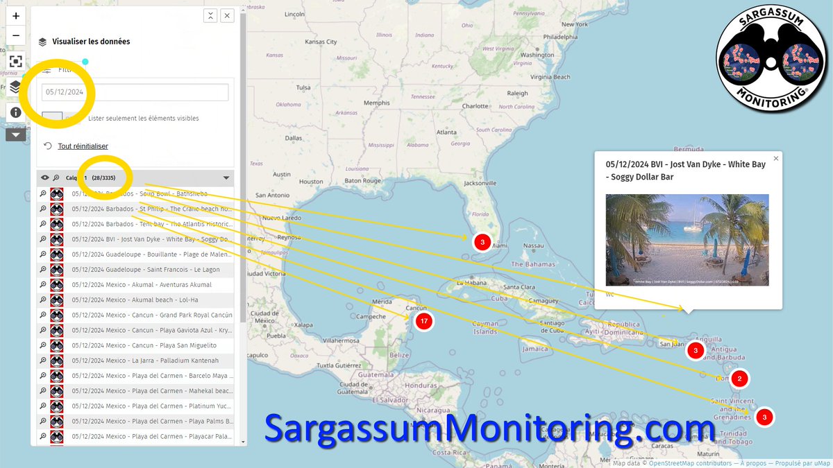 Yesterday, May 12th, 2024, you reported to us more than 28 arrivals of sargassum. 
We were able to share more than 60 photos (red dots) and videos (yellow dots).
To discover them, consult the map on our website: 
sargassummonitoring.com/en/

#sargassum #sargazo #sargasses