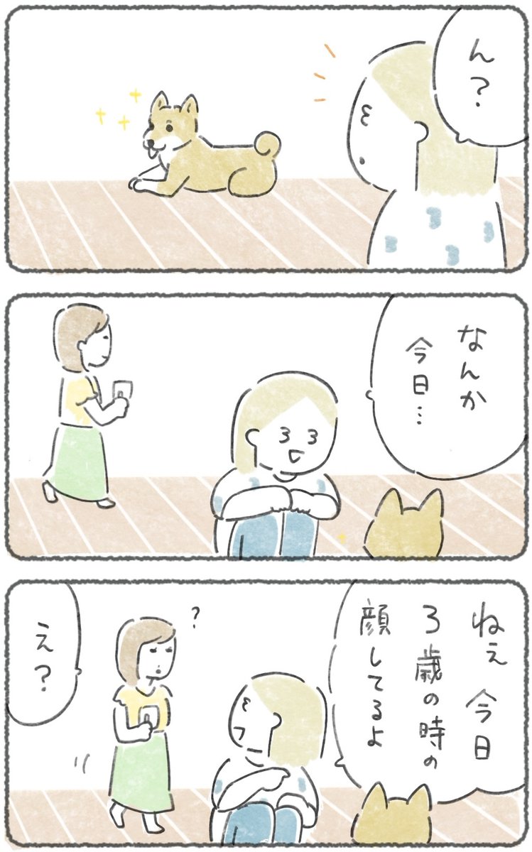 今日は  #愛犬の日 

愛犬の顔、毎日ちょっと違うと思う😊
(今週の犬マンガだよ〜🐕😀 