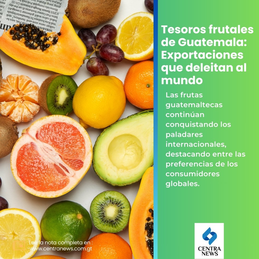 🍉 #NacionalesGT | Tesoros frutales de Guatemala: Exportaciones que deleitan al mundo.

📝 Los detalles: lc.cx/4xt2HH

#AHORA #Guatemala #NoticiasGT #EconomíaGT