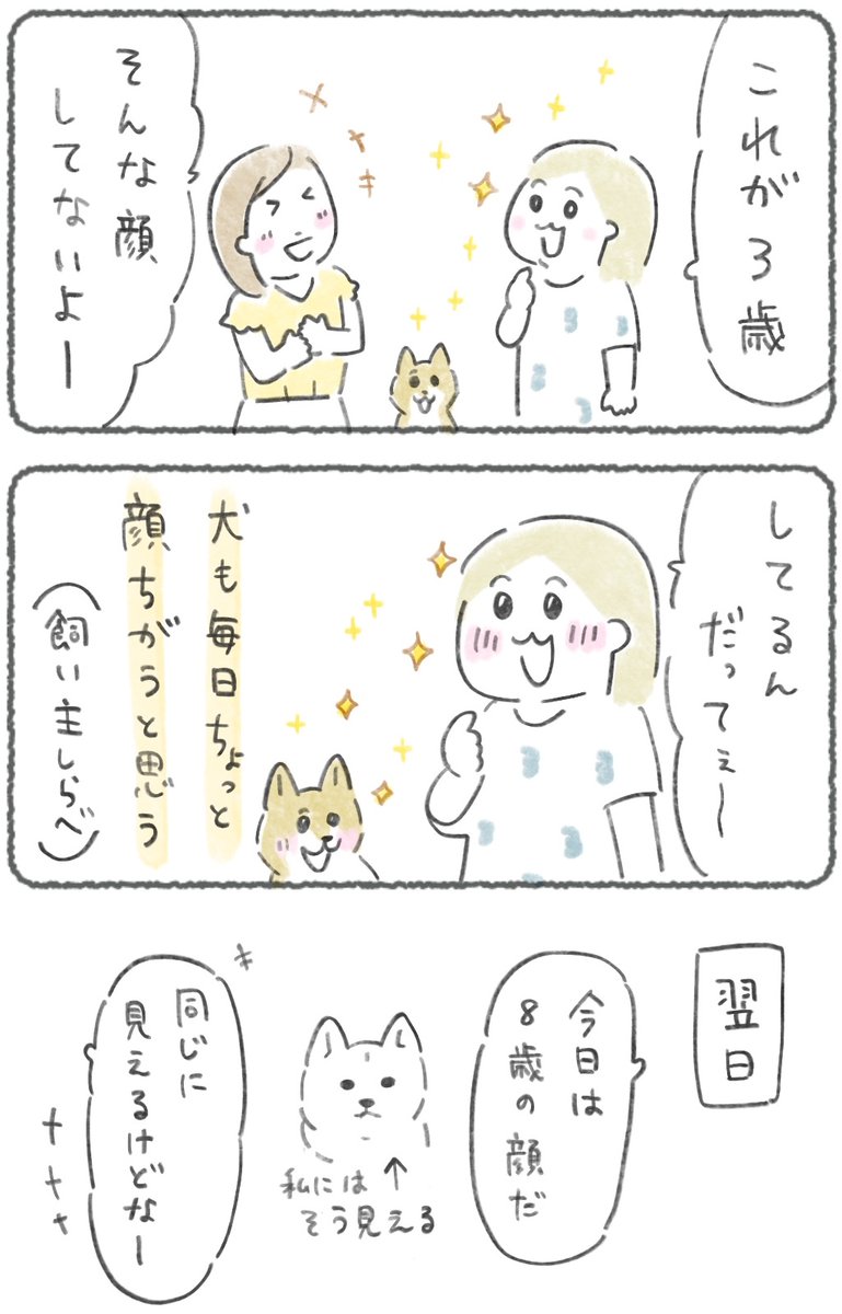 今日は  #愛犬の日 

愛犬の顔、毎日ちょっと違うと思う😊
(今週の犬マンガだよ〜🐕😀 