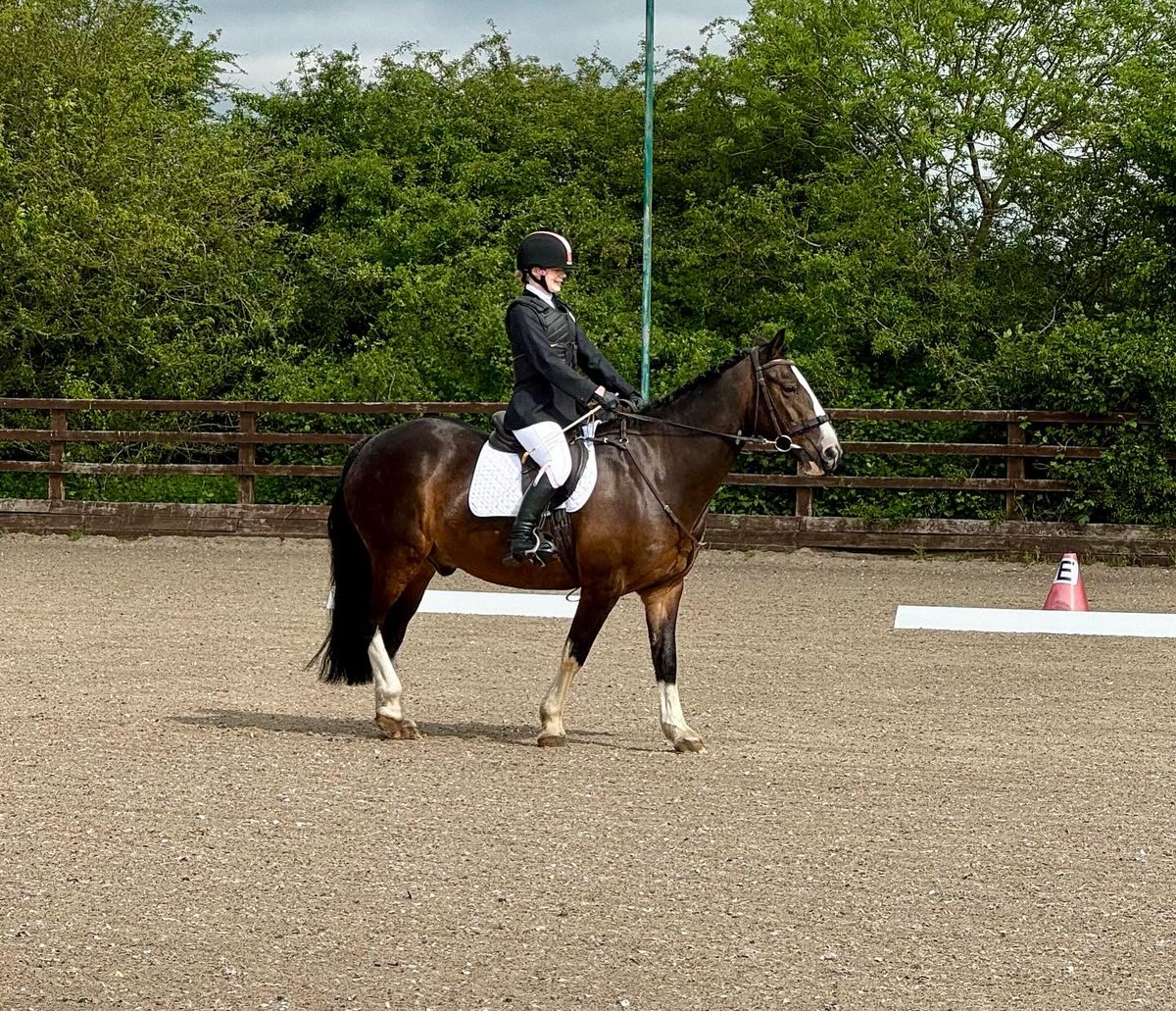 North_Mids_RDA's tweet photo. Such an beautiful morning to watch some great Dressage action at @ScroptonHC for our Regional Dressage Qualifiers ๐๐ผโ๏ธ
#RegionalQualifiers #RDA #Dressage #NorthMidlands #ScroptonHorseCentre #TransformingLives
@RDAnational https://t.co/pVZ5miQOop