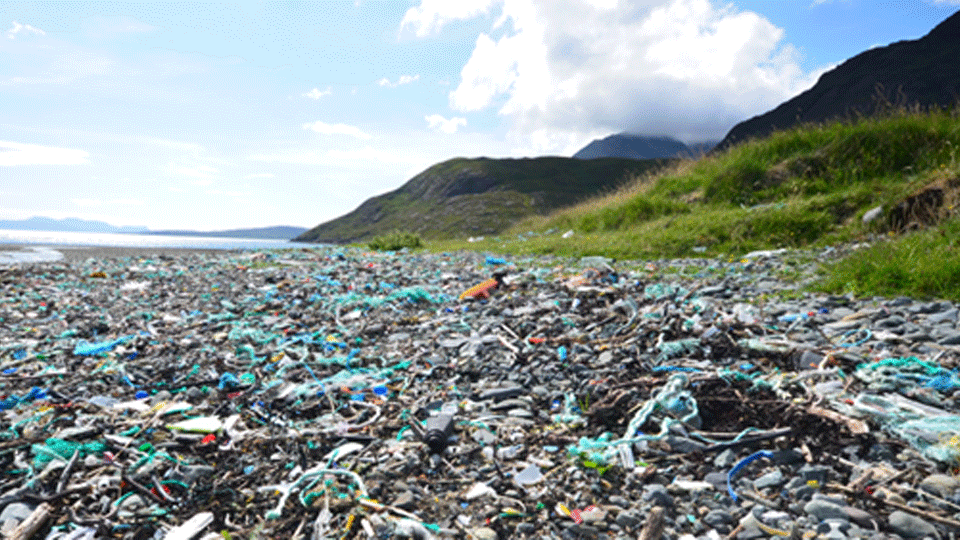 lborogeog's tweet image. Join Dr Tom Stanton and musician Josh Wheatley as they discuss their collaboration to score music for Tom's research documentary '50 Years of Litter on Skye' as part of @pintofscience 

📅14 May 2024
🕡 6:30 pm - 8:30 pm
📍 Revolution, Loughborough
pintofscience.co.uk/event/bridging…
#Pint24