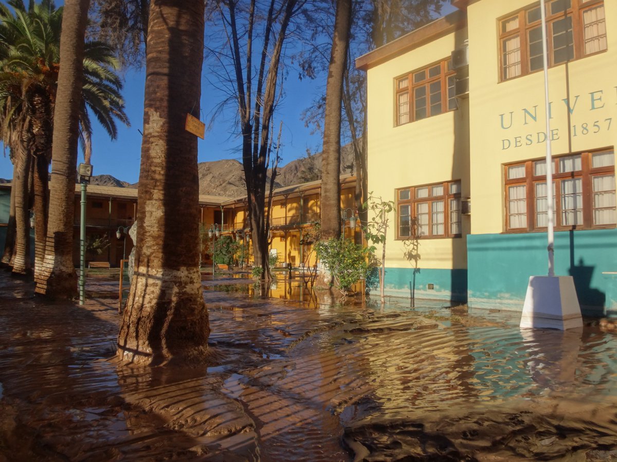 Make Stanne tweet media